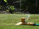 Schonen Sie Garten und Budget mit Regenwasser