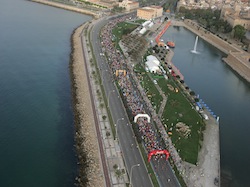 Der Internationale TUI Marathon Palma de Mallorca