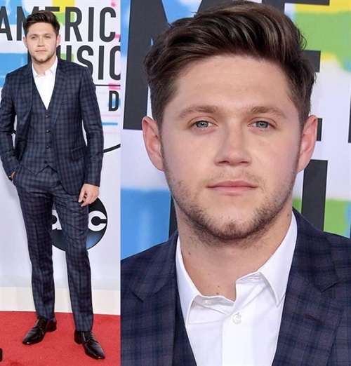 Niall Horan at AMAs 2017