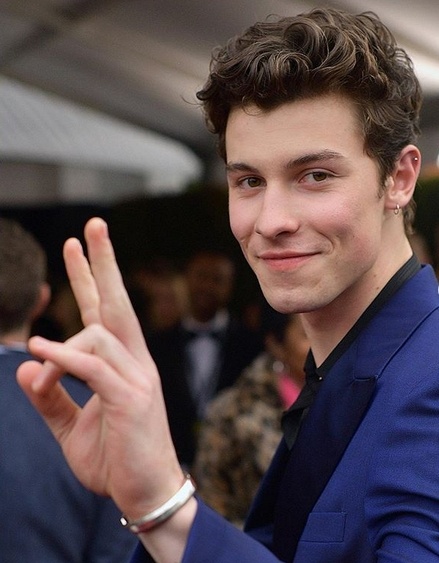 Shawn Mendes